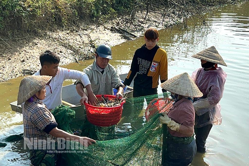 Tăng nhanh giá trị sản xuất trên diện tích canh tác