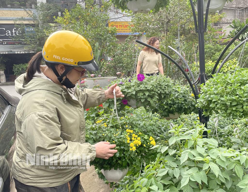 Thị trường hoa, cây cảnh khởi động sớm