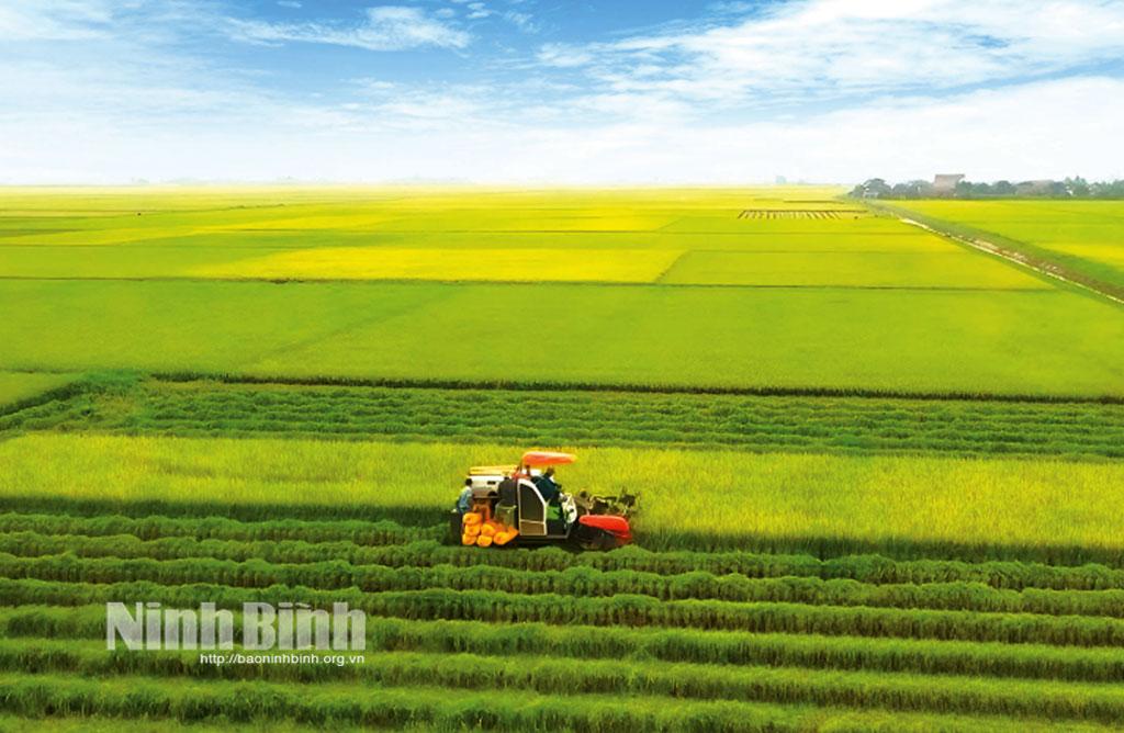65 năm thực hiện lời Bác: Nông nghiệp Ninh Bình đổi mới, vươn xa
