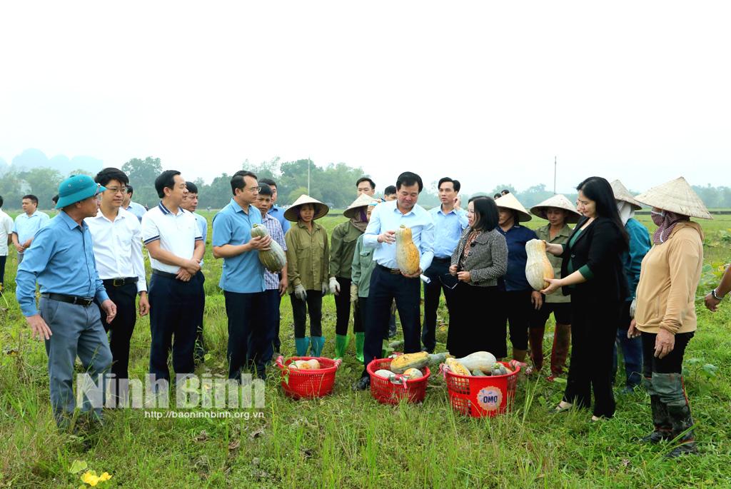 Lãnh đạo huyện Nho Quan thăm, động viên sản xuất đầu Xuân Giáp Thìn 2024