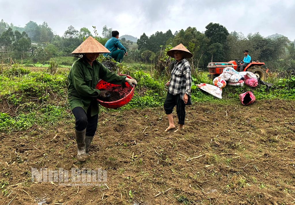Nông dân các xã vùng cao huyện Nho Quan tập trung xuống giống cây màu