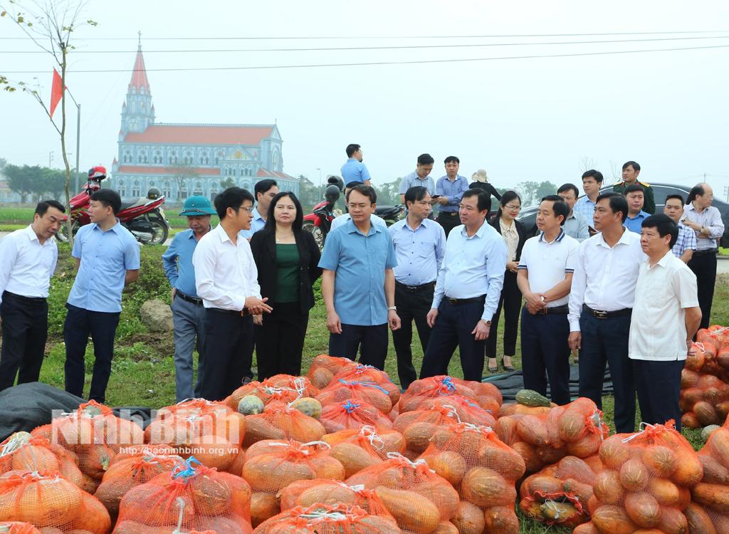 Trồng cây bí đỏ hồ lô xuất khẩu cho hiệu quả cao