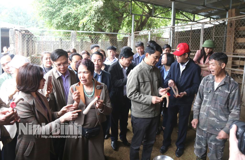 Hội Nông dân tỉnh tham quan mô hình HTX nuôi hươu và trồng na trái vụ