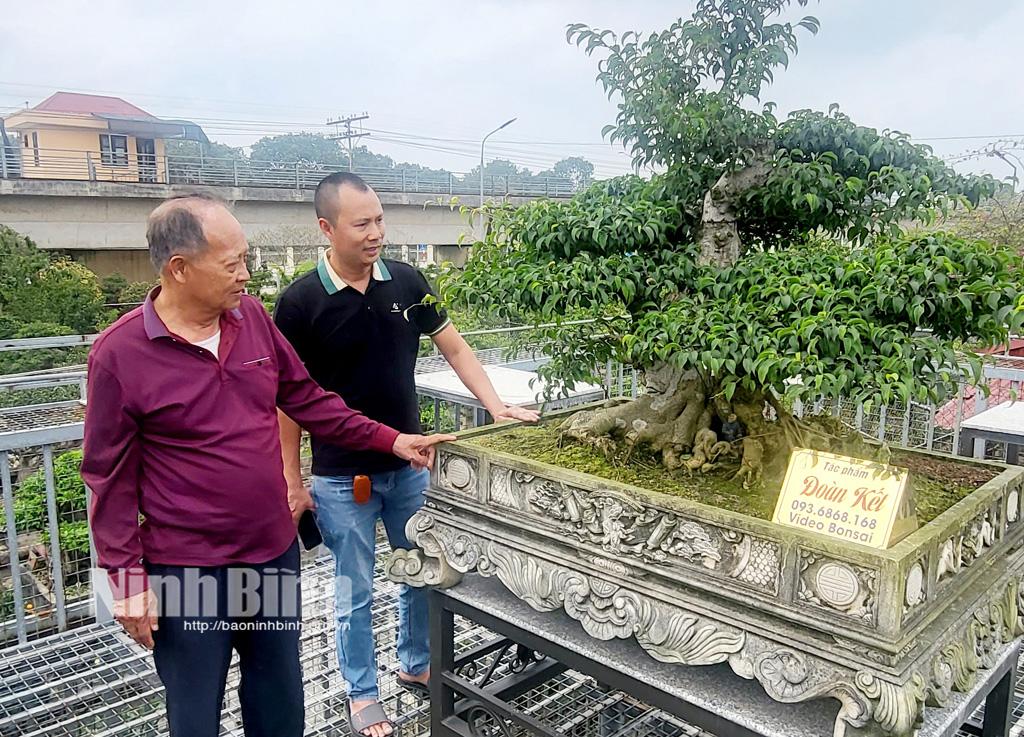 Triển lãm sinh vật cảnh với chủ đề "Tinh hoa Cố đô"