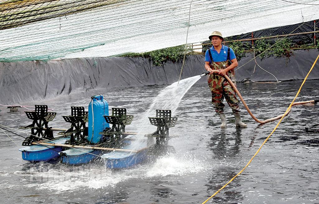 Nông dân Kim Sơn chuẩn bị các điều kiện cho vụ nuôi thủy sản mới