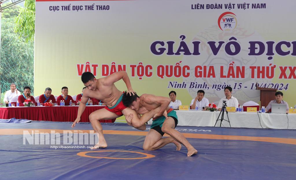(Video) Khai mạc Giải vô địch vật dân tộc quốc gia lần thứ 28 năm 2024