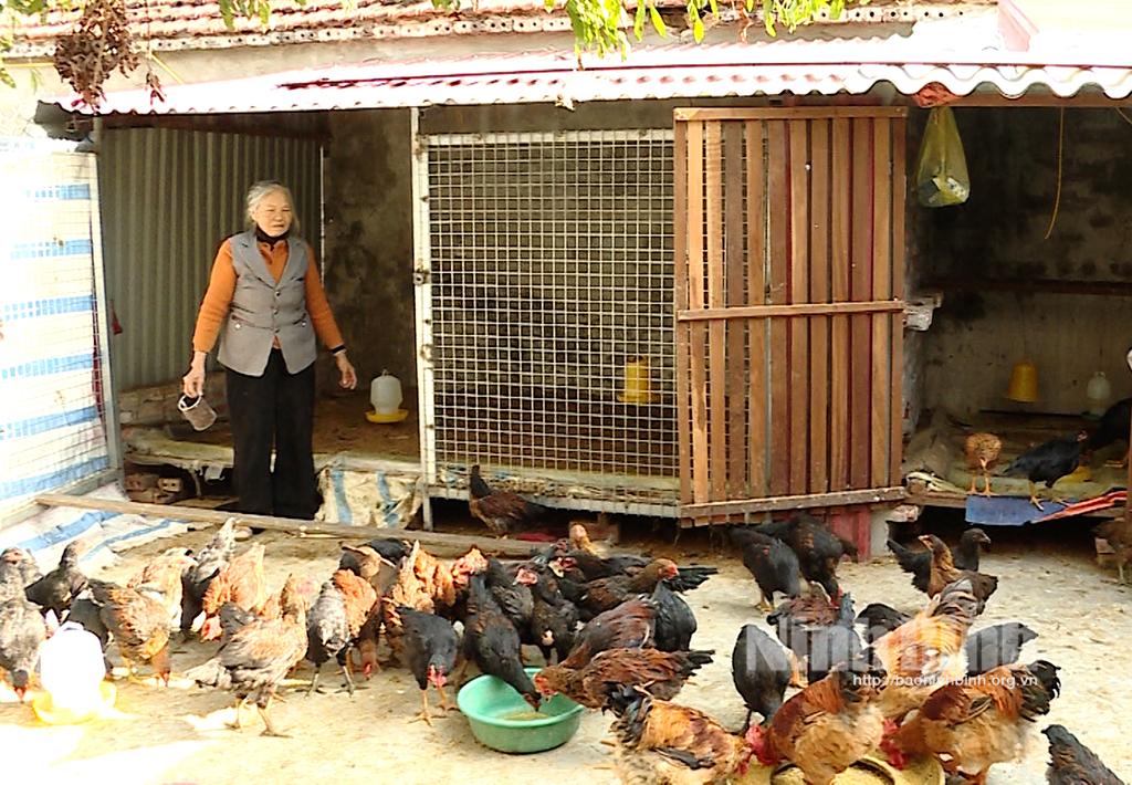 Truyền thông hiệu quả để giảm nghèo bền vững