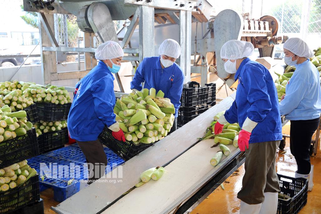 Đôi điều suy nghĩ từ bức tranh kinh tế quý I-2024