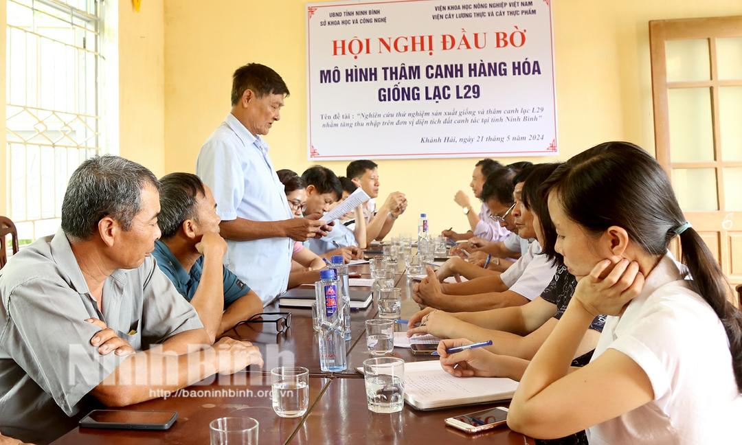 Hội thảo đầu bờ mô hình thâm canh hàng hóa giống lạc L29 tại tỉnh Ninh Bình