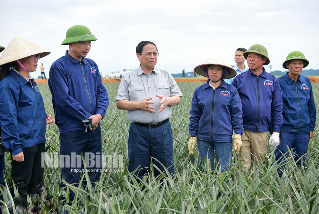 Thủ tướng Chính phủ Phạm Minh Chính thăm, động viên sản xuất tại Công ty cổ phần Thực phẩm xuất khẩu Đồng Giao