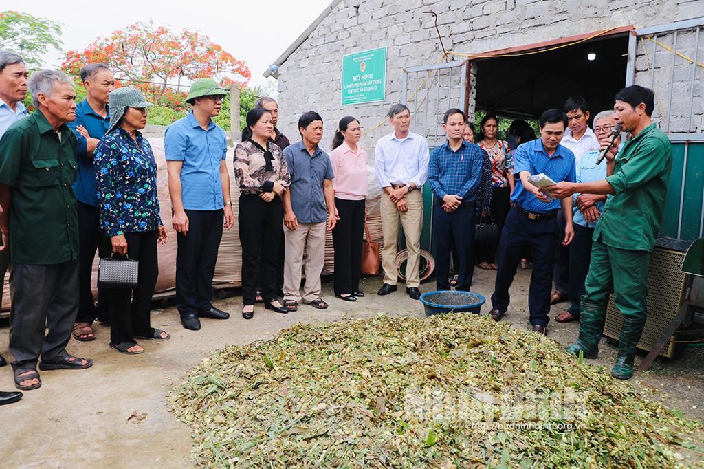 Vận động nông dân tham gia xử lý rác thải hữu cơ, làm sạch môi trường