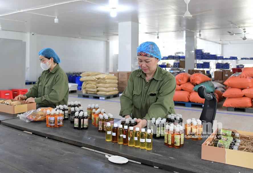 Một thập kỷ nỗ lực "hồi sinh" vùng dược liệu cổ