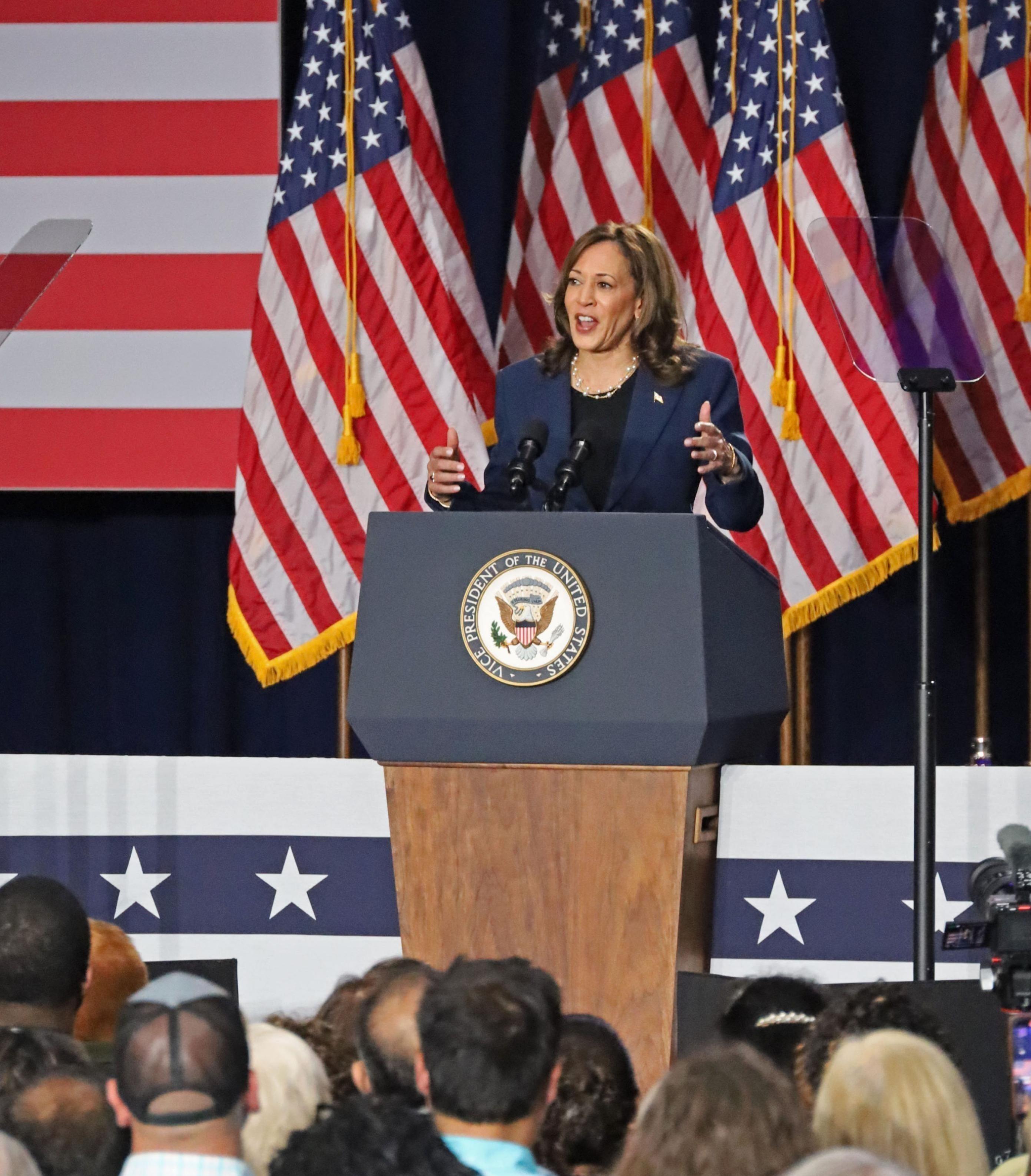 Bầu cử Mỹ 2024: Bà Kamala Harris chính thức trở thành ứng cử viên tổng thống của đảng Dân chủ