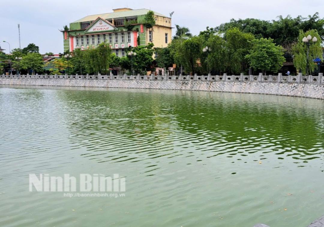 Bảo vệ và giữ gìn những "Lá phổi xanh"