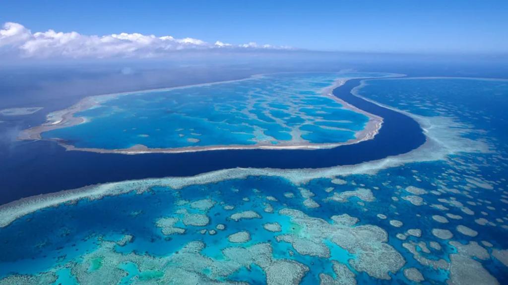 Sức nóng của đại dương đe dọa sự tồn tại của rạn san hô lớn nhất thế giới