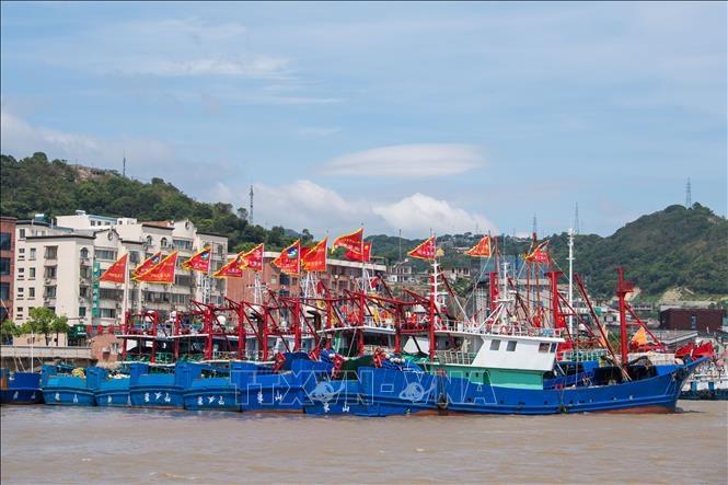 Trung Quốc: Cơn bão mạnh nhất trong 7 thập kỷ qua đổ bộ vào Thượng Hải