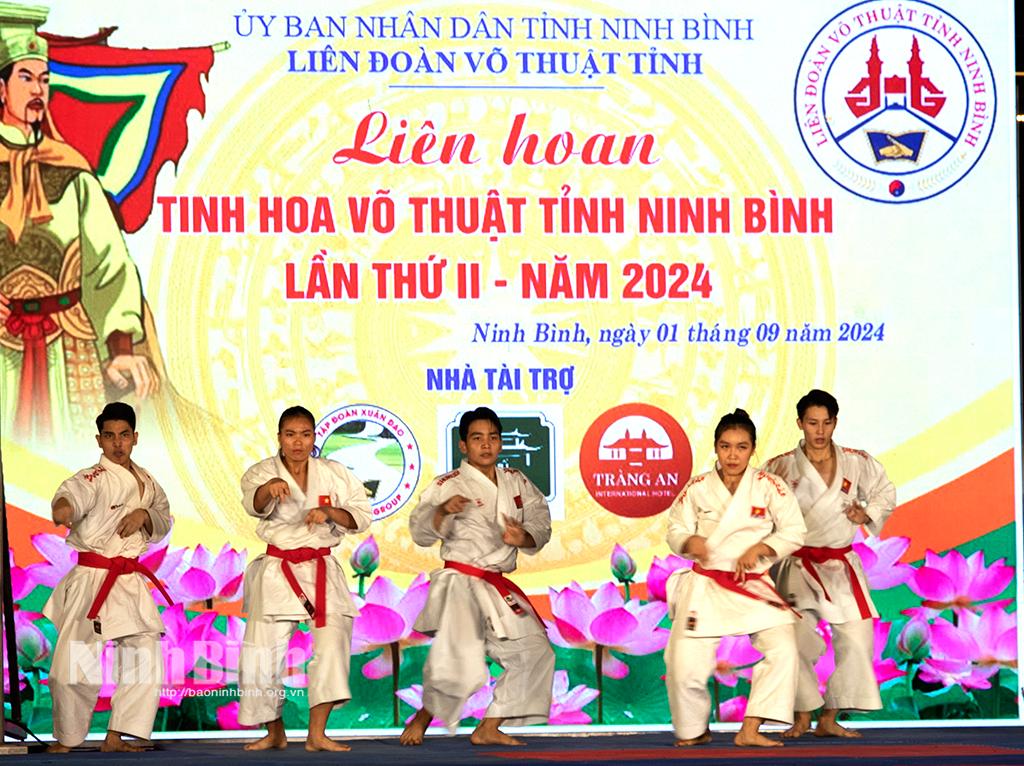 Liên hoan tinh hoa võ thuật Ninh Bình lần thứ 2