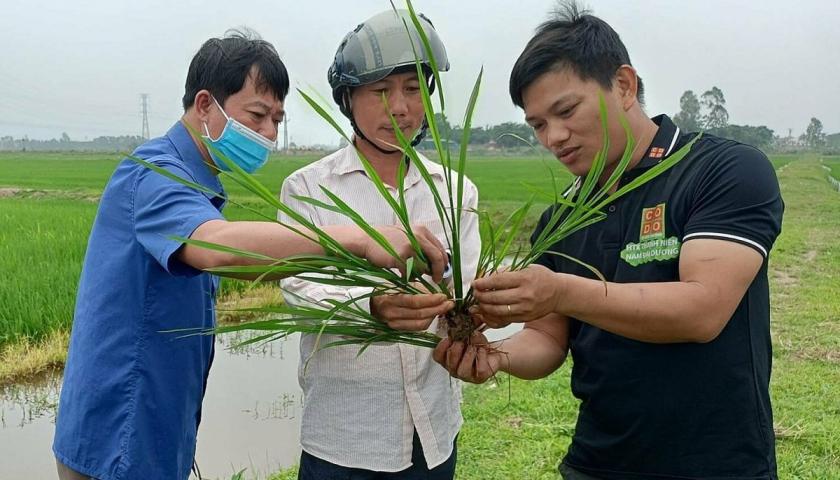 Công bố 56 "Nhà khoa học của nhà nông" lần thứ V, năm 2024