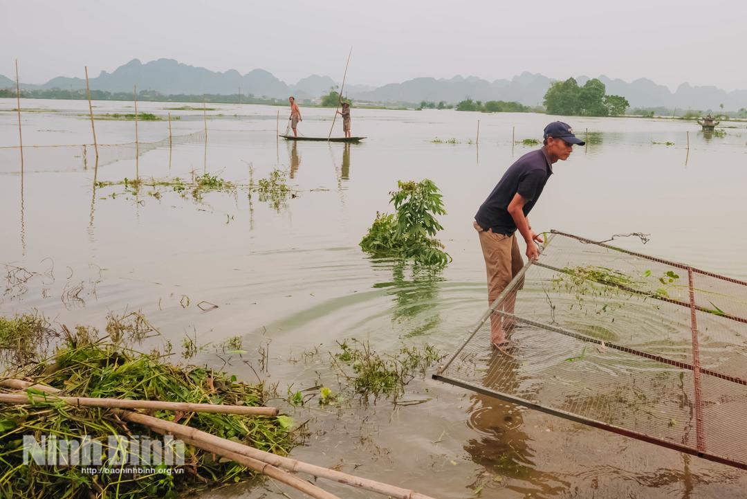 Tổng Công ty cổ phần Bảo Minh bồi thường bảo hiểm đối với thiệt hại của khách hàng do ảnh hưởng của bão số 3