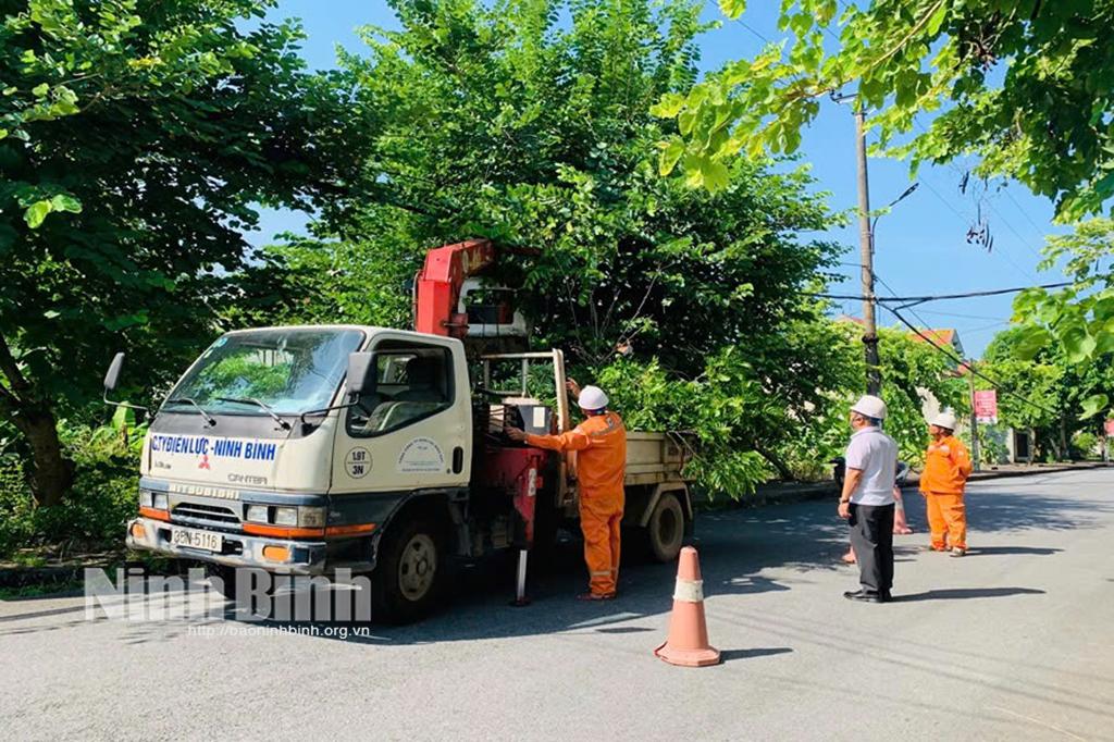 Điện lực Ninh Bình triển khai quyết liệt công tác ứng phó với bão số 3