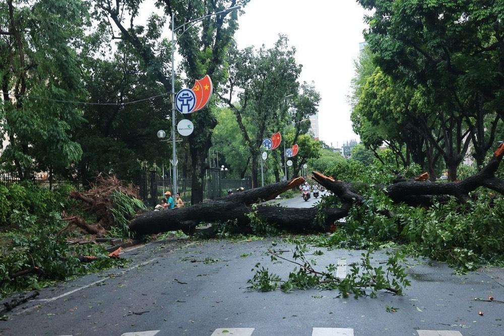 Đã có 273 người thương vong, mất tích do bão, sạt lở đất và mưa lũ