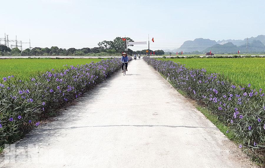 Thụy Lôi chú trọng xây dựng và nhân rộng mô hình điểm