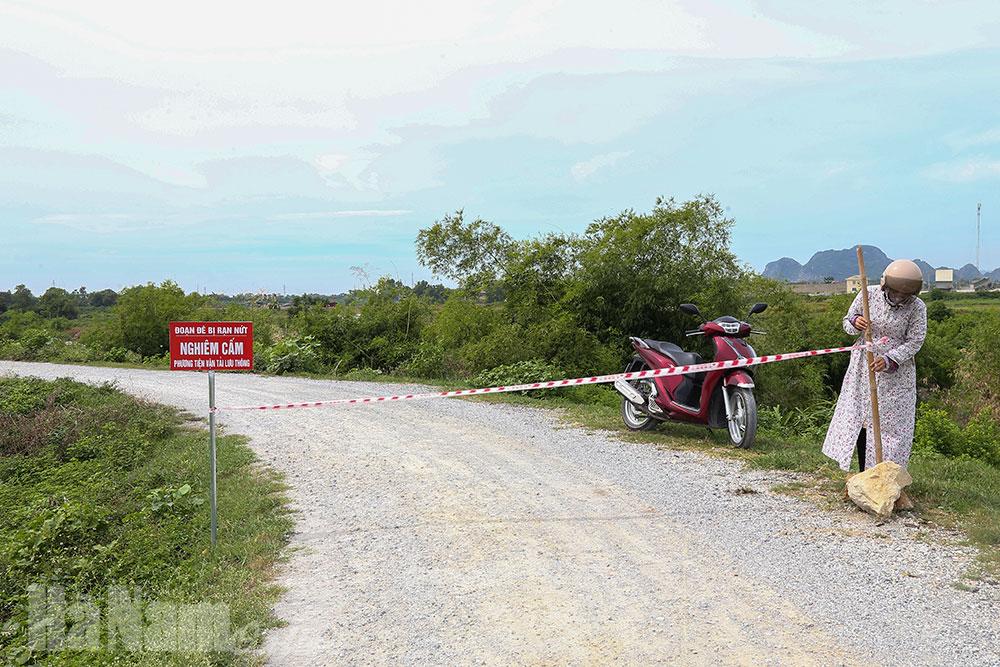 Nứt dọc mặt đê tả Đáy đoạn qua địa phận xã Thanh Nghị, Thanh Liêm