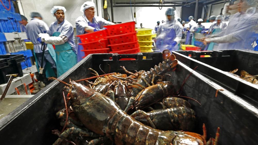 Mỹ, EU đạt thỏa thuận đầu tiên trong nỗ lực hạ nhiệt căng thẳng thương mại