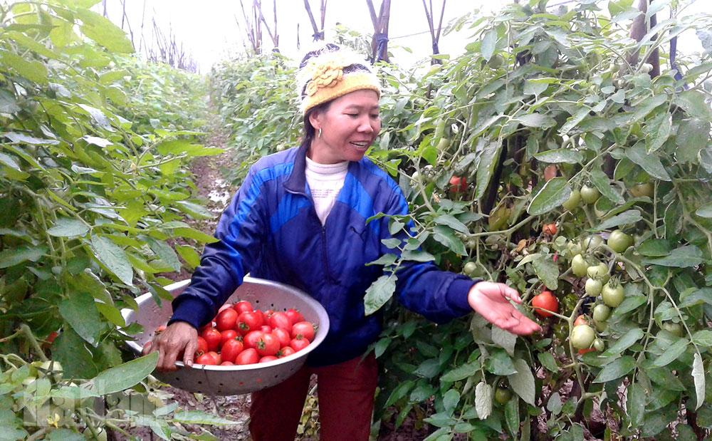 Thanh Liêm ban hành công văn hỏa tốc ứng phó với bão số 2