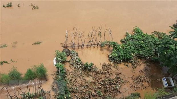 Xuất hiện đợt lũ trên sông Hồng-Thái Bình, nhiều vùng biển nguy hiểm