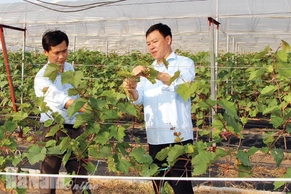 Đảng bộ huyện Bình Lục tăng cường công tác kiểm tra, giám sát