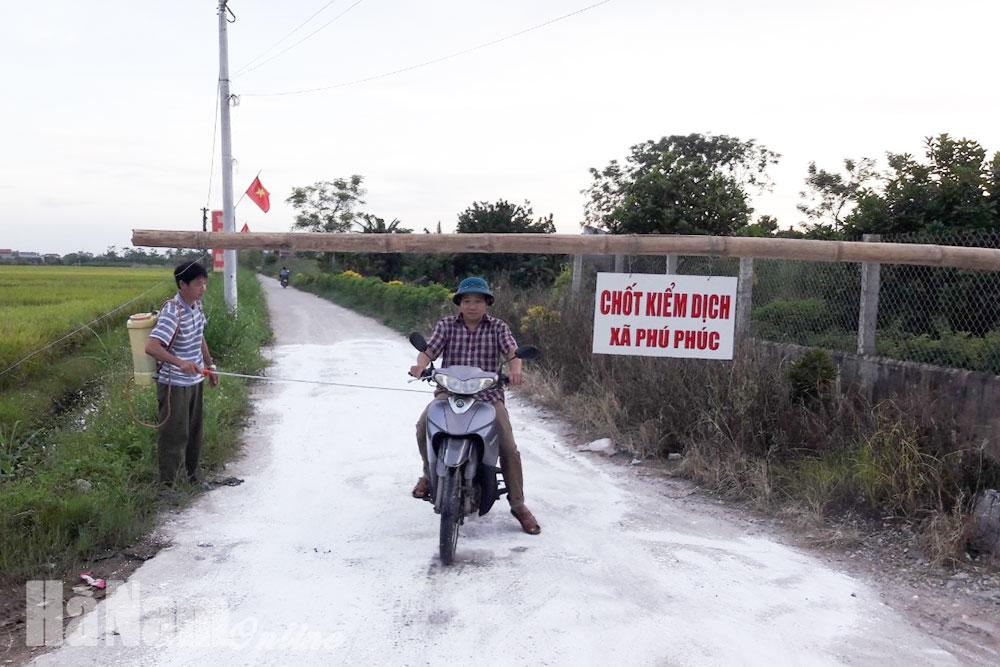 Xuất hiện ổ dịch tả lợn châu Phi tại xã Phú Phúc