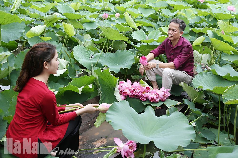 Sản xuất nông nghiệp gắn với phát triển du lịch trải nghiệm