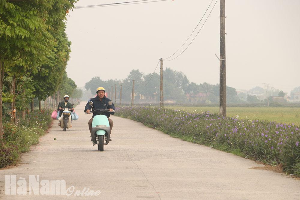Tập trung hoàn thiện và nâng cao chất lượng tiêu chí nông thôn mới