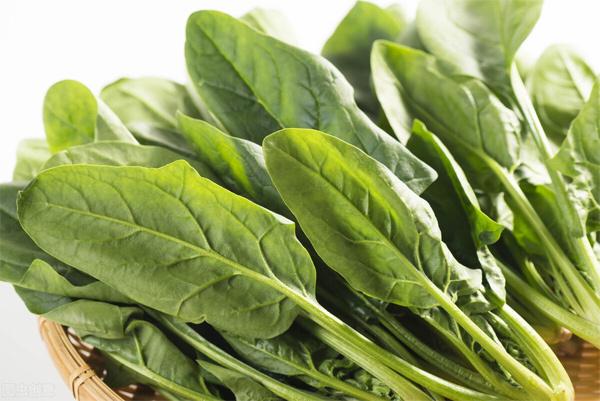 Năm bộ phận quan trọng của cơ thể thích món ăn màu gì nhất?