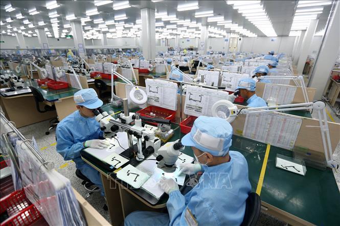 Chuẩn bị thí điểm thành lập các khu công nghiệp điện tử