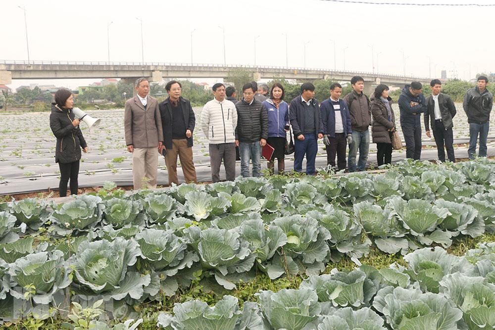 Tổng kết thực hiện Dự án JICA giai đoạn 2016-2020