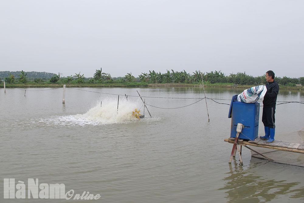 Đẩy mạnh phát triển nuôi trồng thủy sản