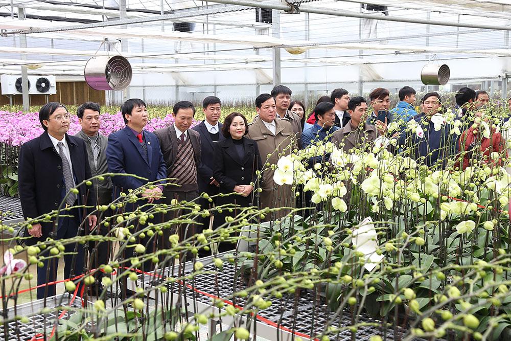 Ban Quản lý Khu NNƯDCNC triển khai kế hoạch công tác năm 2021