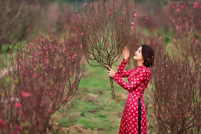 Ghé thăm những làng hoa, cây cảnh nổi tiếng Việt Nam dịp giáp Tết để có ngay bộ ảnh rạng rỡ như hoa