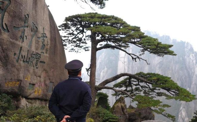 Thực hư về bảo vật hơn 800 tuổi được canh gác ngày đêm: Là một trong 'Ngũ độc' của núi Hoàng Sơn