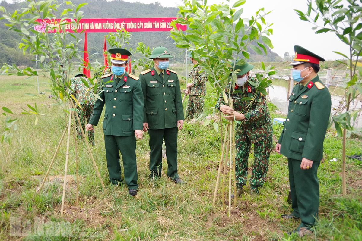 Hà Nam đồng loạt ra quân “Tết trồng cây” vào sáng 6 Tết Nhâm Dần