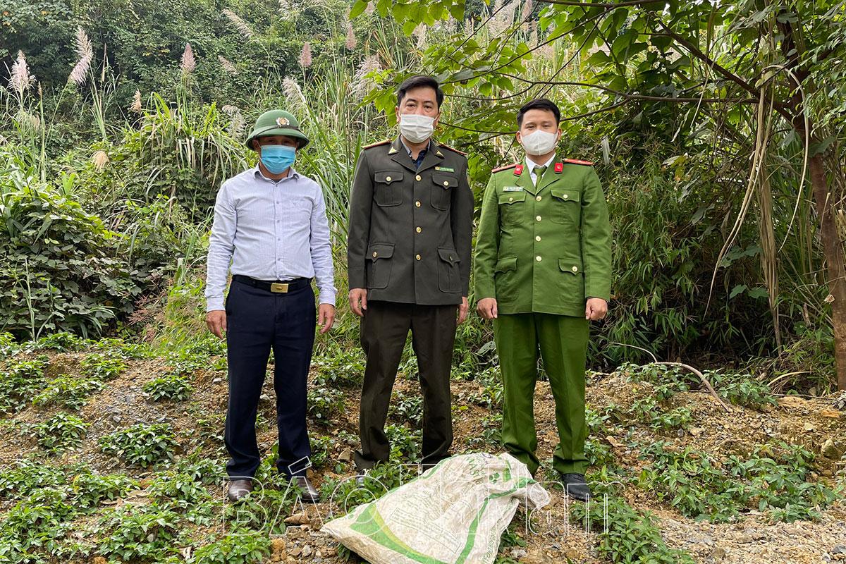 Hạt Kiểm lâm Kim Bảng - Thanh Liêm chú trọng công tác quản lý, bảo vệ rừng
