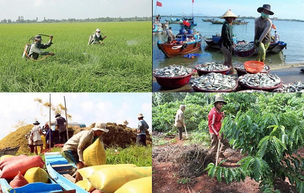 Chính sách mới về hỗ trợ bảo hiểm nông nghiệp