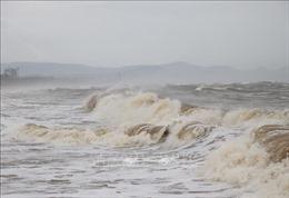 Ngày 7-8/8, khả năng hình thành vùng áp thấp