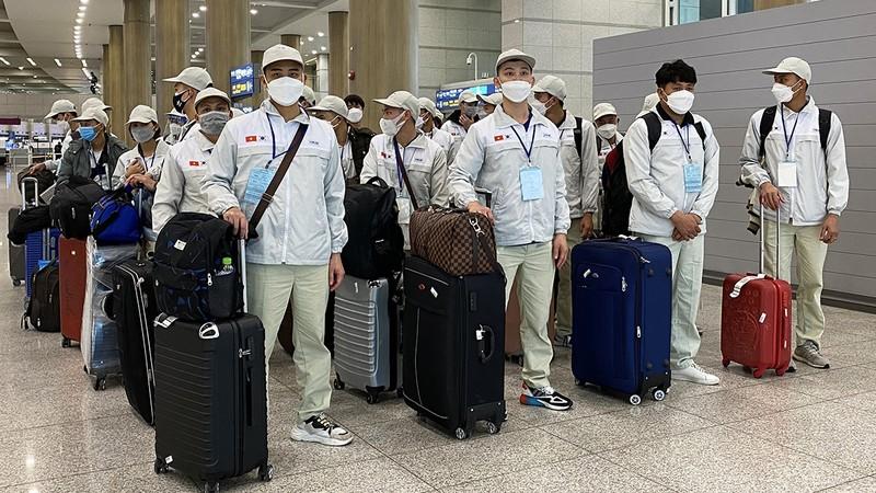 Gần 24 nghìn lao động đăng ký thi tiếng Hàn theo chương trình EPS