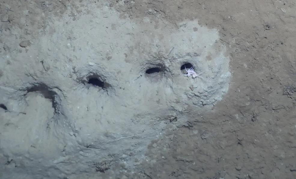 Tìm ra thủ phạm tạo hố bí ẩn ở đáy biển giữa Nga và Alaska