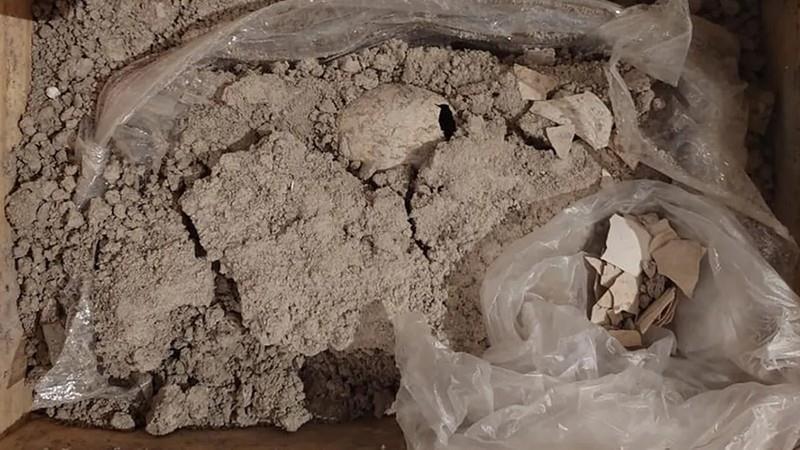 Mexico phát hiện trứng chim hồng hạc hơn 8.000 năm khi xây dựng sân bay