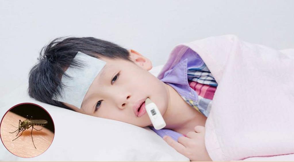 Những chú ý khi chăm sóc trẻ mắc sốt xuất huyết tại nhà