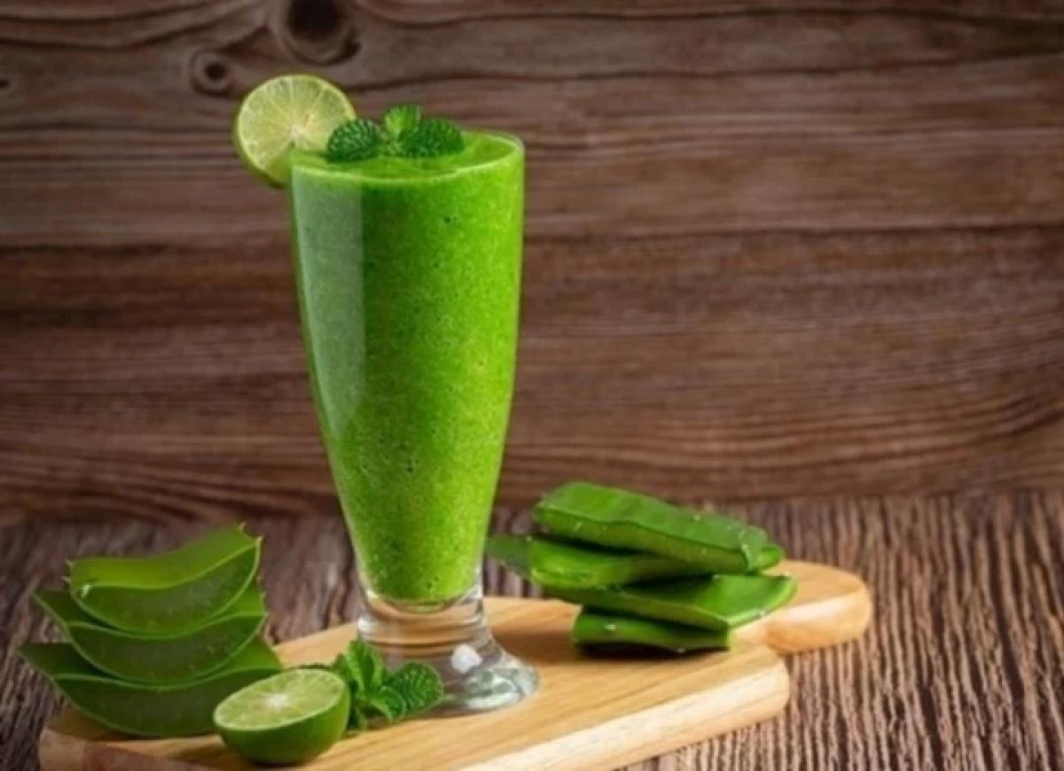 Lợi ích sức khỏe từ cây lô hội